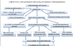 Структура управления образовательной организацией